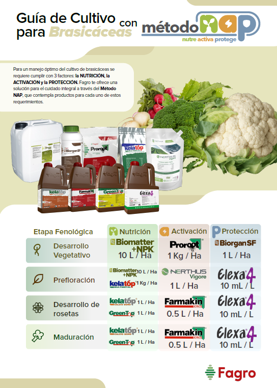 Guía de cultivo para brasicáceas con el método NAP