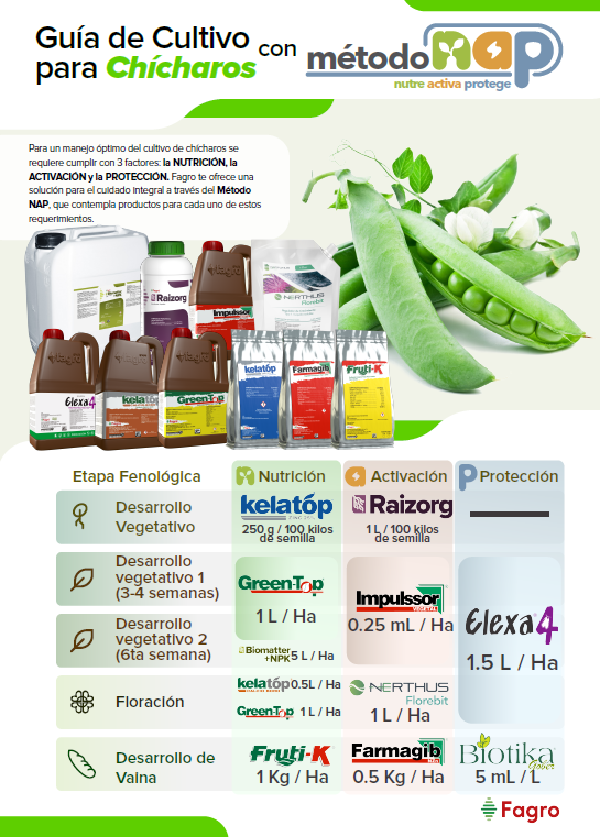 Guía de cultivo para chícharos con el método NAP