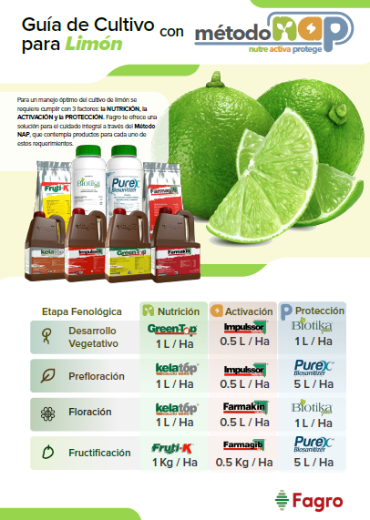 Guía de cultivo para limón con el método NAP