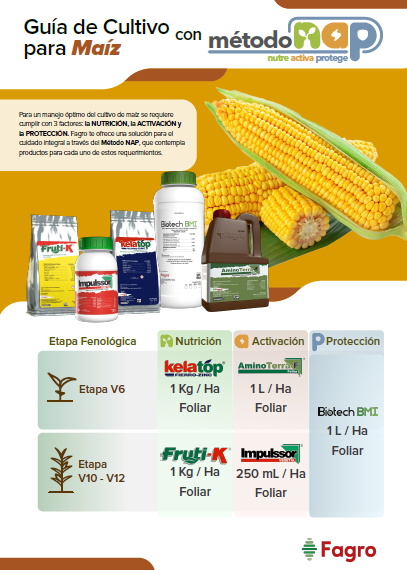 Guía de cultivo para maíz con el método NAP