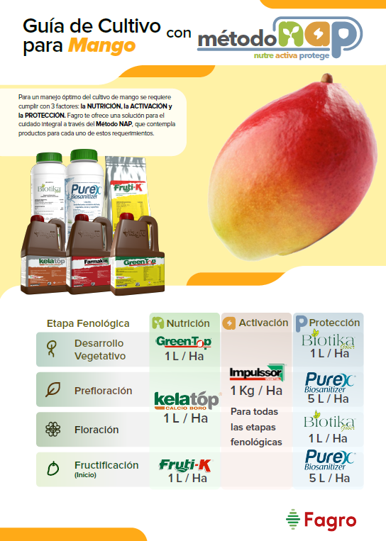 Guía de cultivo para mango con el método NAP
