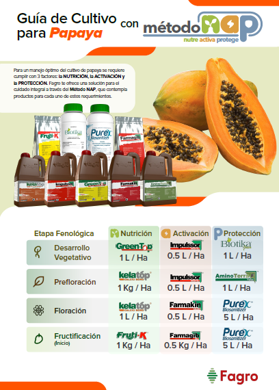 Guía de cultivo para papaya con el método NAP