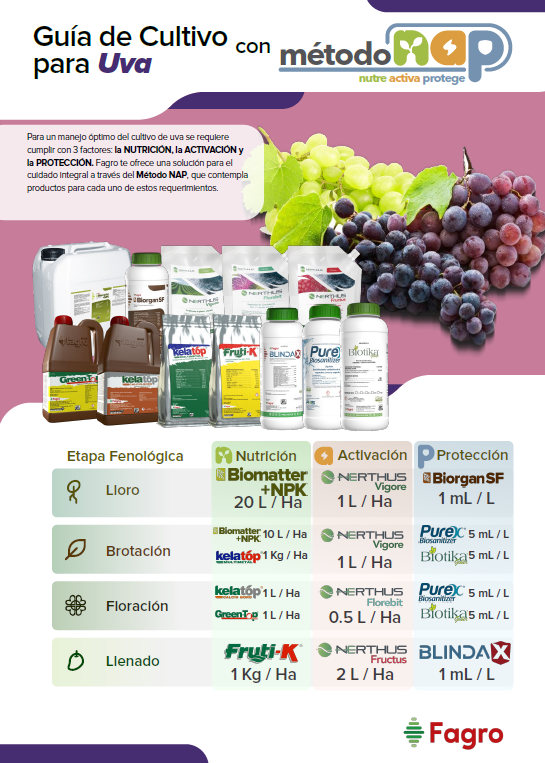 Guía de cultivo para uva con el método NAP