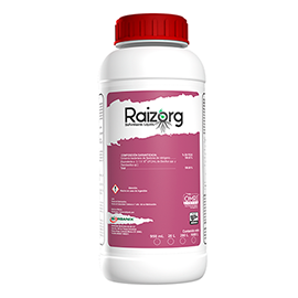 Raizorg Biofertilizante Líquido. Inductor natural del enrizamiento de plantas de origen orgánico.